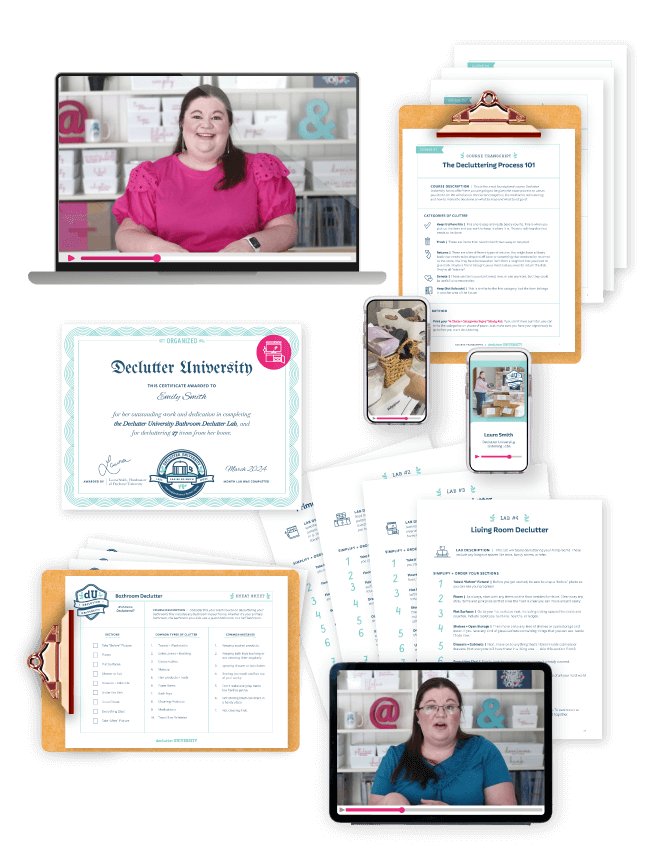 Everything included in the Bachelor's Degree