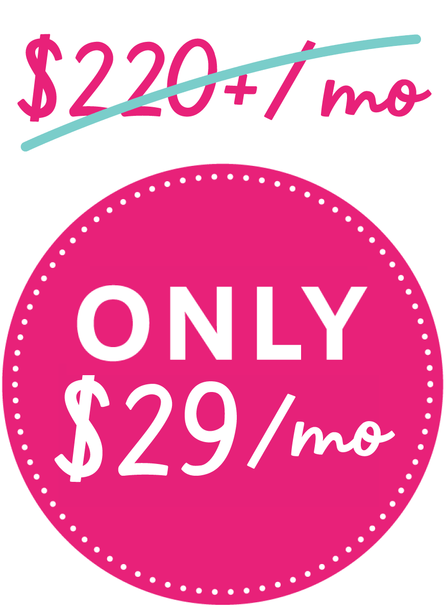 '$220+/mo' crossed out, and 'ONLY $29/mo' under it.